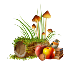 őszi állatok_156.png